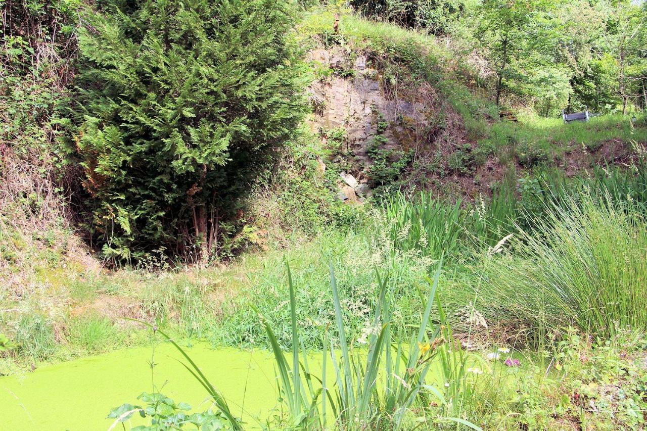 Haus Teufenbach Aparthotel Bad Neuenahr-Ahrweiler Eksteriør bilde